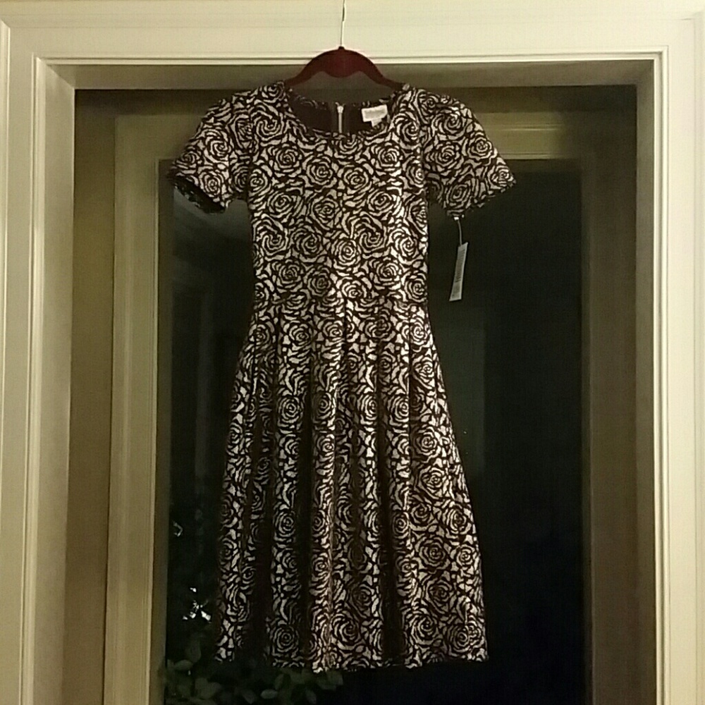 LLR XXS Amelia